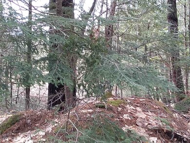 155 Pine Hill Rd, Ossipee, NH 03890 - photo 3