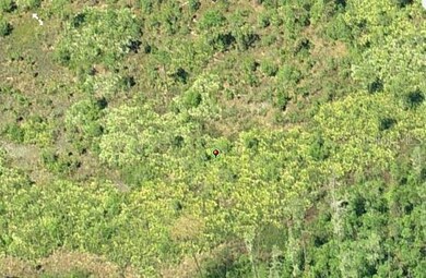 0 Dill Rd unit MFRO6233802, Orlando, FL 32820 - photo 3