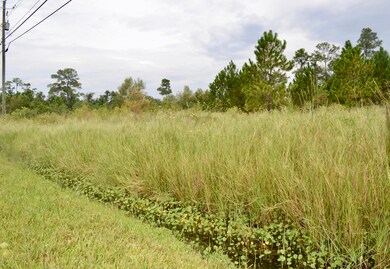 422 Bayview St, Pass Christian, MS 39571 - photo 2