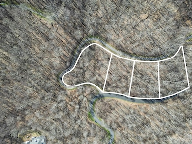 15 Chestnut Village unit 15, Mars Hill, NC 28754 - photo 7