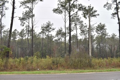 0 Fm 1669 unit 61040, Huntington, TX 75949 - photo 2