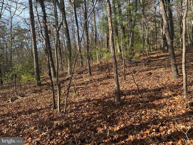 0 Rd unit WVHS2007092, Capon Bridge, WV 26711 - photo 5