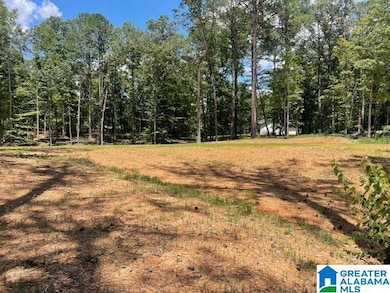 63 Hodgens Rd unit 3, Chelsea, AL 35043 - photo 7