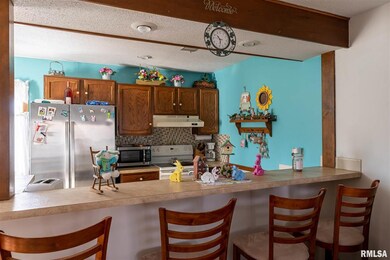 4209 Laurel Ct, Davenport, IA 52804 - photo 2