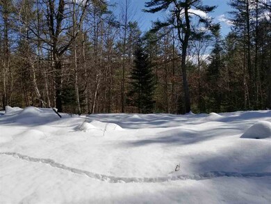0 Ridge Rd unit 77 4676758, Lyman, NH 03585 - photo 4