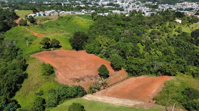 X Calle Los Cipreses Bo Pueblo Moca P R, Moca, PR 00676 - photo 7