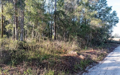 LT 16 280th Terrace, Branford, FL 32008 - photo 3