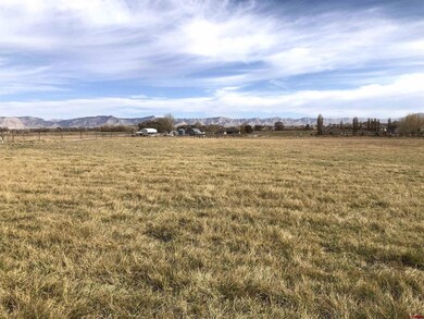 1217 (Lot 5) Lazy v Ln, Fruita, CO 81521 - photo 5