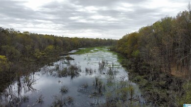 551 Liberty Shores Blvd, Vincent, AL 35178 - photo 4