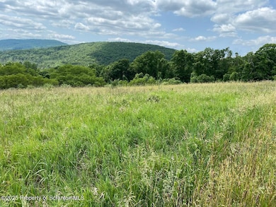 5 Middle Mountain Dr, Tunkhannock, PA 18657 - photo 4