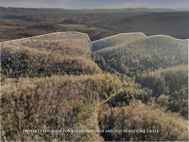 3550 River Rd, Williamsburg, KY 40769 - photo 6