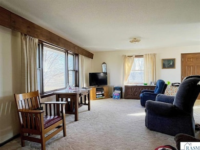 59347 County Road 17 E, Comfrey, MN 56019 - photo 5