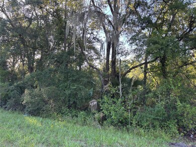 0 NE Highway 351, Cross City, FL - photo 6