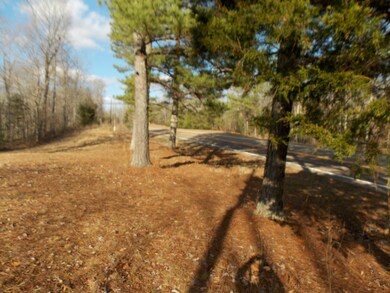 13S Tennessee 13, Linden, TN 37096 - photo 4