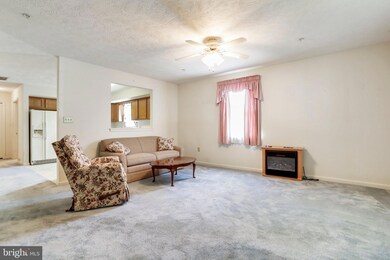 900 W Irvin Ave, Hagerstown, MD 21742 - photo 4