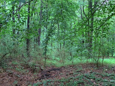 148 Ridgeview Rd, 12 Ridgeview Rd unit 124, Statesville, NC 28625 - photo 5