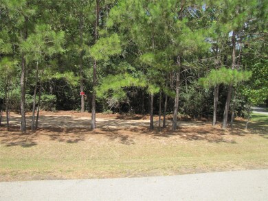 29233 Village Oaks Ct, Magnolia, TX 77355 - photo 3