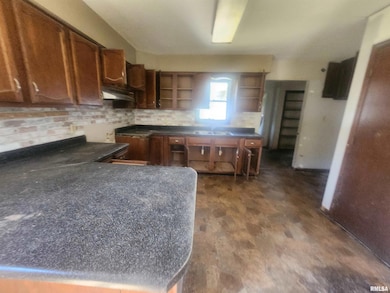 904 E Poplar St, Du Quoin, IL 62832 - photo 6
