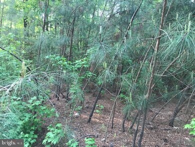 32 Monroe Bay Cir, Colonial Beach, VA 22443 - photo 4