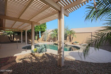 Resort Backyard