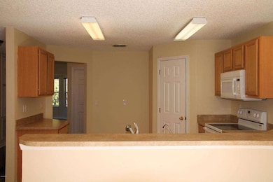 Kitchen View 5