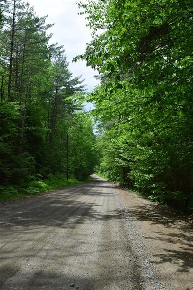 0 Pearl Lake Rd unit 6 4865405, Lisbon, NH 03585 - photo 6