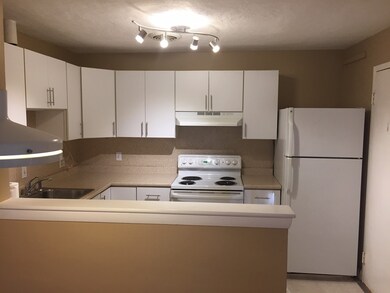 1105 Lexington St unit 104, Waltham, MA 02452 - photo 2