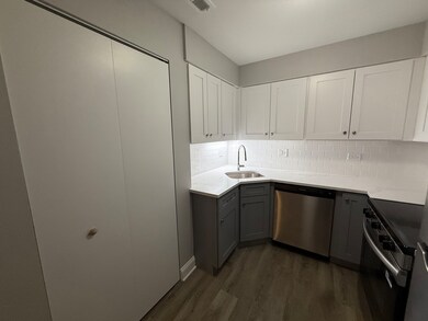 744 W Gordon Terrace unit 312, Chicago, IL 60613 - photo 5