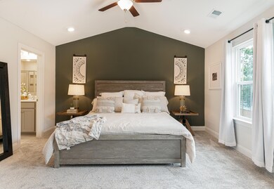 Owner's Accent wall