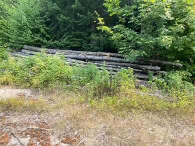 #00 Huff Corner Rd, Wellington, ME 04942 - photo 6