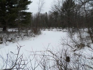 0 County Road H unit 1734948, Cutler, WI 54618 - photo 4