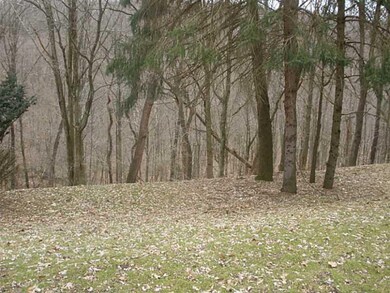 Yard/Garden. Back yard that has woods for privacy.