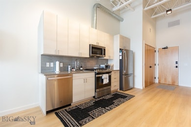 515 W Aspen St unit 317, Bozeman, MT 59715 - photo 7