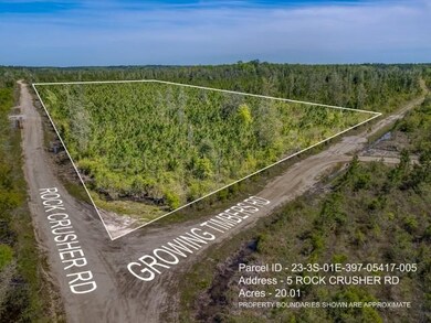 Lot 5 Rock Crusher Rd, Crawfordville, FL 32327 - photo 2