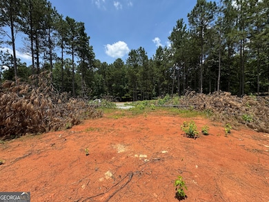 170 Hardwood Rd, Lexington, GA 30648 - photo 3