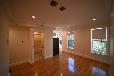 231 Northampton St unit 2, Boston, MA 02118 - photo 6