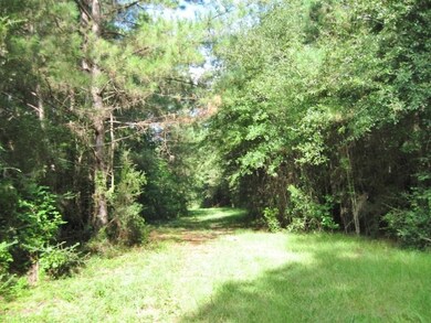 000 Sims Thornhill Rd, Tylertown, MS 39667 - photo 6