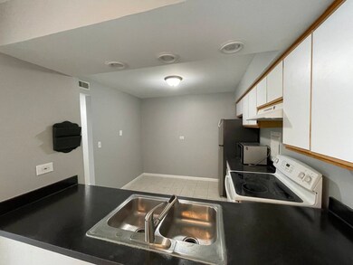 4400 Euclid Ave unit 2A, Rolling Meadows, IL 60008 - photo 3