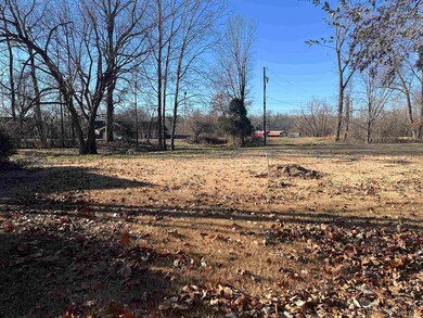 Standing at he back property line, looking at road