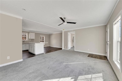 Unfurnished living room with crown molding, ceilin