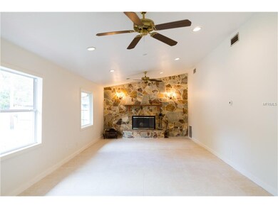 Family Room/Den/Living Room Fireplace