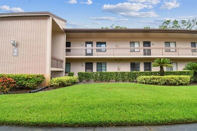 204 Mary Dr, Oldsmar, FL 34677 - photo 2