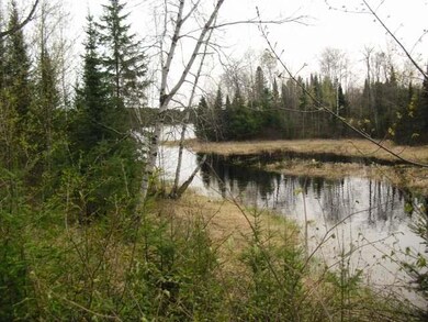 N 8992 Deer Tr, Tomahawk, WI 54487 - photo 7
