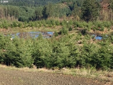 0 Oakdale Rd unit 591849589, Dallas, OR 97338 - photo 5