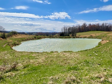 88/Ac Tbd Hwy 93, Fall Branch, TN 37656 - photo 5