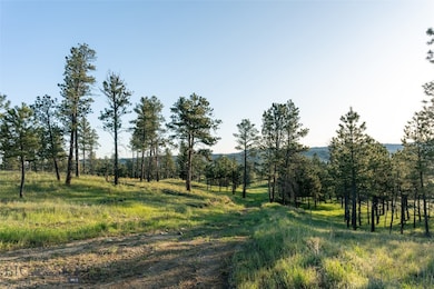 151 Big Clearing Rd, Roundup, MT 59072 - photo 5