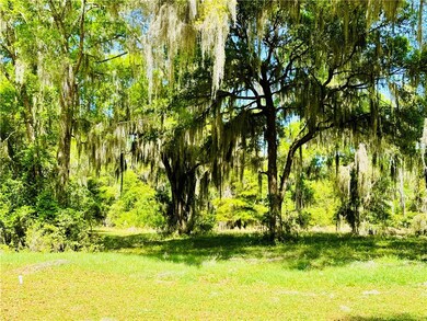 48 Coopers Point Dr NE, Townsend, GA 31331 - photo 4