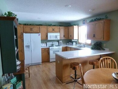 110 Euclid Ct, Big Lake, MN 55309 - photo 6