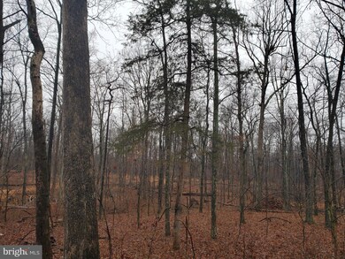 8800 Buckland Mill Rd, Gainesville, VA 20155 - photo 2