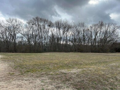 290 Raintree Valley Rd, Pangburn, AR 72121 - photo 3